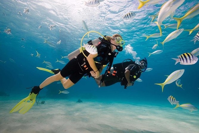 Discover Scuba Diving Experience - The briefing makes this more than a quick swim