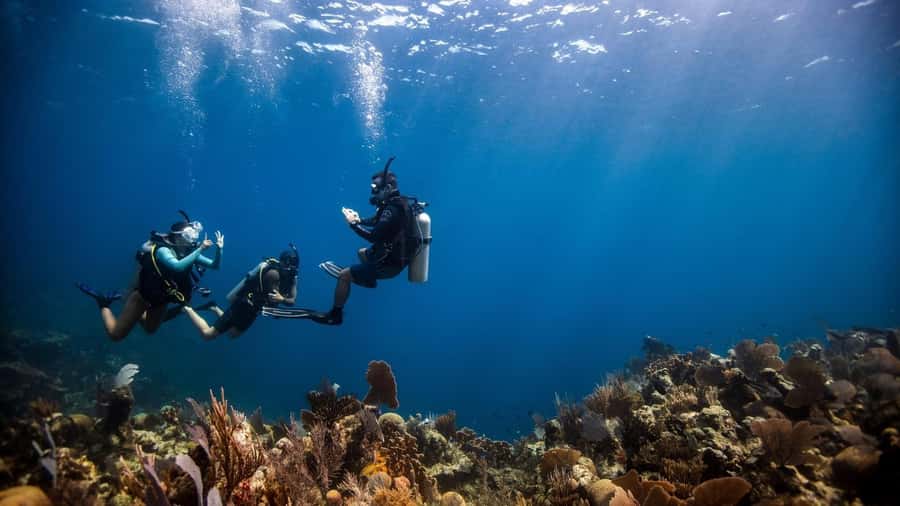 DISCOVER SCUBA DIVING IN LEMORNE with EasydiveMauritius - The pool session makes the first breaths easier