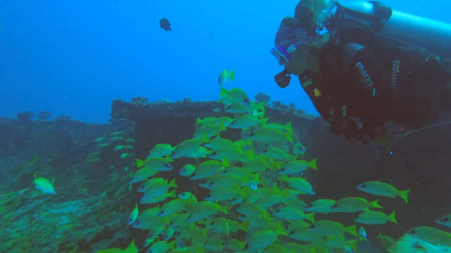 Discover Scuba Diving in the North of Mauritius - A close look at the guide service