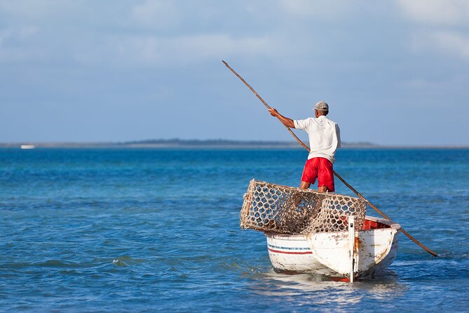 Discover the East of Mauritius: Full-day All-inclusive tour (Visit to 3 parks) - Why this East Mauritius tour covers so much
