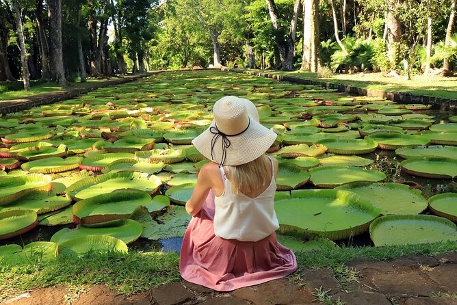 Discovering the North of Mauritius: Full-day incl Botanical garden & lunch - Lunch, then the view from Fort Adelaide