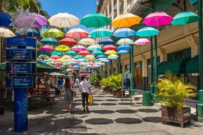 Discovering the North of Mauritius: Full-day incl Botanical garden & lunch - Central Market, dhal puri, and alouda