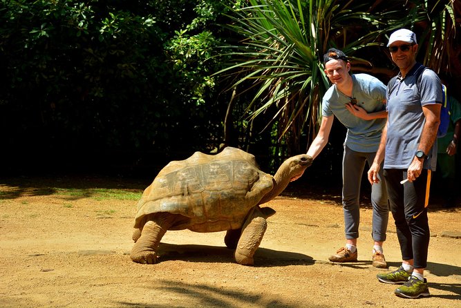 Discovery Tour 35km - Key points to know before you book