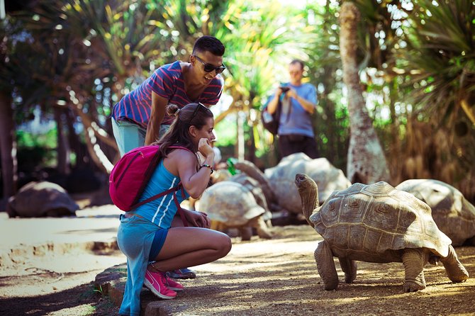 Discovery Tour 35km - Is this the right Mauritius day trip for you?
