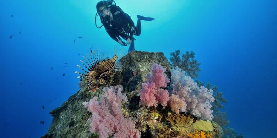 Diving in the North with Blue World Adventures - Starting at Le Méridien in Pointe aux Piments