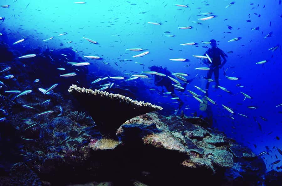Diving in the North with Blue World Adventures - Small details that make the day easier