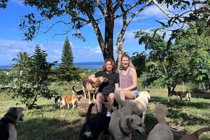 Dog Lover's guided tour of the Happy Tails Sanctuary - Why Happy Tails is more than a dog-cuddling stop