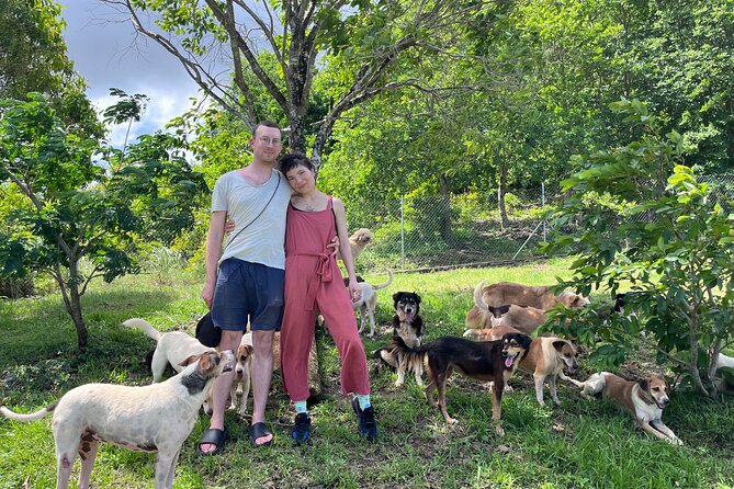 Dog Lover's guided tour of the Happy Tails Sanctuary - Arriving at Baie du Cap at noon