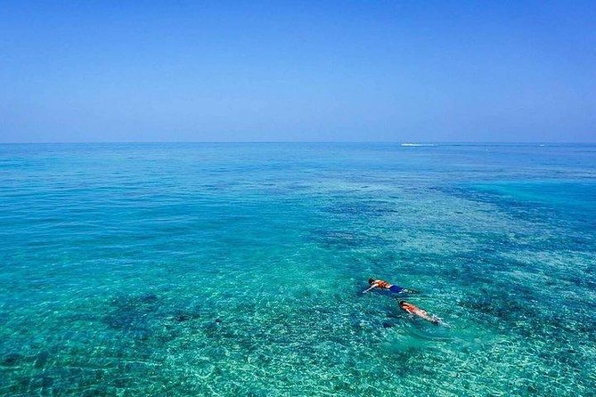 Dolphin Encounters, Ile aux Benitier & Crystal rock: Full-Day (Lunch & Transfer) - Is $111.96 good value?
