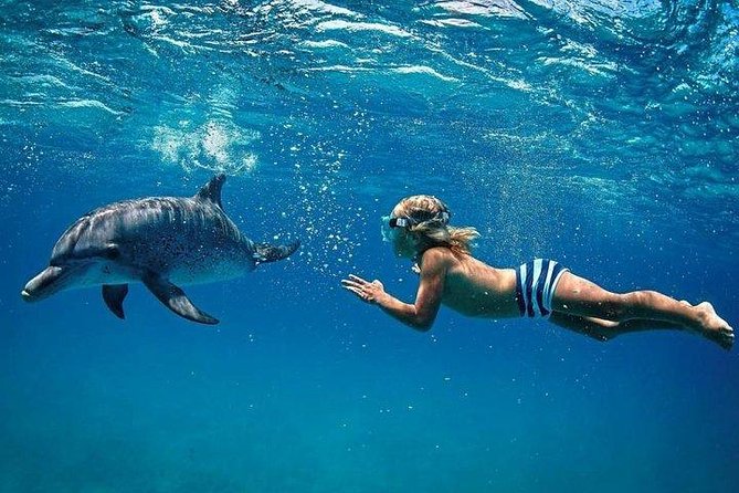 Dolphin Encounters, Ile aux Benitier & Crystal rock: Full-Day (Lunch & Transfer) - From your hotel to Flic en Flac or Tamarin