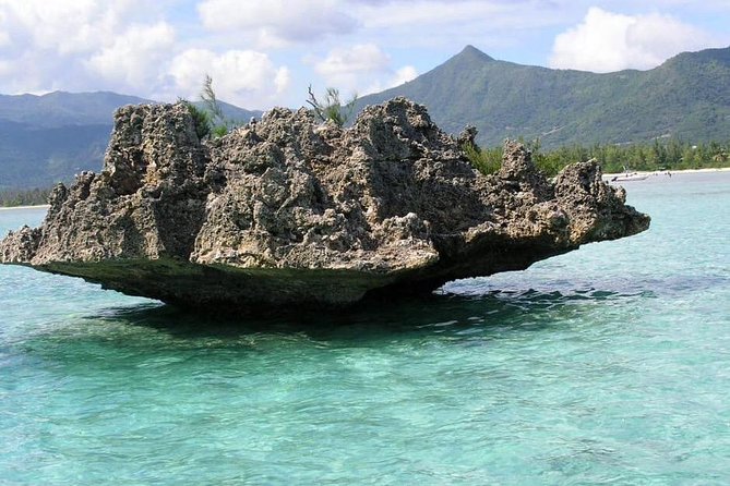 Dolphin Experience in Open Sea and South West Tour of Mauritius including Lunch - Chamarel brings color and a waterfall