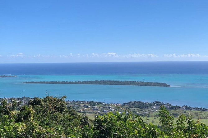 Dolphin Experience in Open Sea and South West Tour of Mauritius including Lunch - Black River Gorges and Alexandra Falls