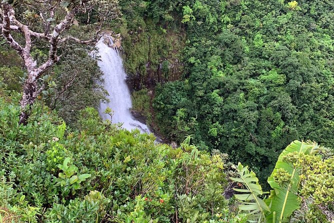 Dolphin Experience in Open Sea and South West Tour of Mauritius including Lunch - Trou aux Cerfs completes the volcanic story