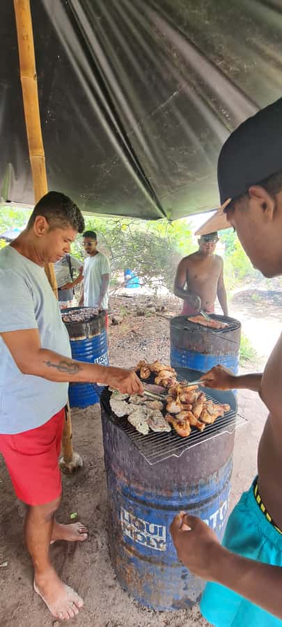 Dolphins: Private, Snorkel, CrystalRock, ileoBenitiers,lunch - Key points at a glance