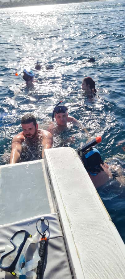 Dolphins: Private, Snorkel, CrystalRock, ileoBenitiers,lunch - A private day on Mauritius’s west coast