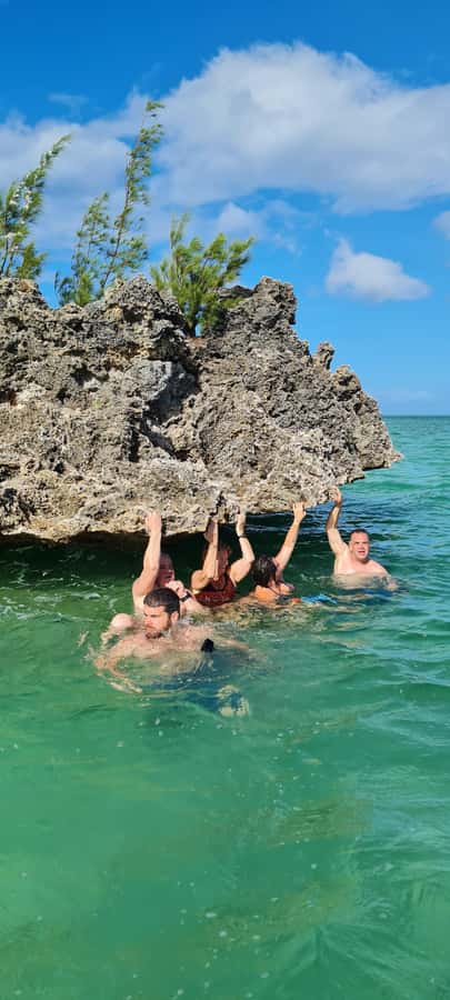 Dolphins: Private, Snorkel, CrystalRock, ileoBenitiers,lunch - Swimming with dolphins in Tamarin Bay