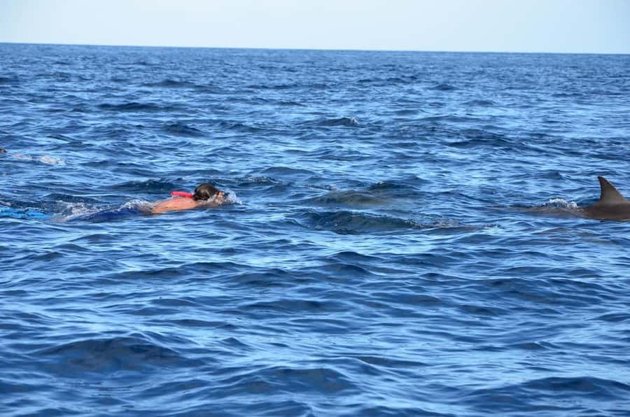 Dolphins & Whales, Private Tour Snorkeling - Crystal Rock and the changing colors of the sea