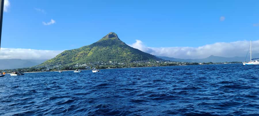 Dolphins & Whales, Private Tour Snorkeling - Snorkeling in the natural aquarium