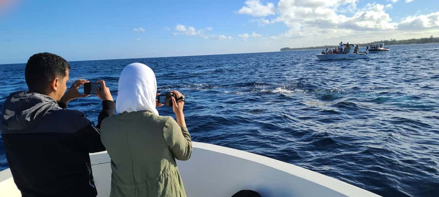 Dolphins & Whales, Private Tour Snorkeling - Who should book this Mauritius boat trip