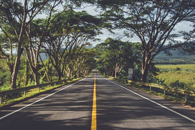 East of Mauritius: Full Day Scenic Tour with Lunch & Glass Bottom - Lunch and a taste of local Mauritius
