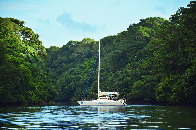 EAST Shared Cruise : OCÉANE Full day catamaran to Ile aux Cerfs - Snorkeling before Ile aux Cerfs