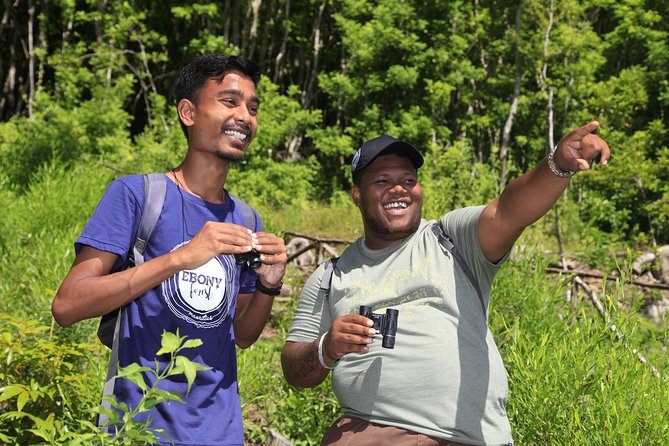 Ebony Forest Reserve Chamarel: Endemic Birdwatching Guided Tour - Searching for pink pigeons and echo parakeets