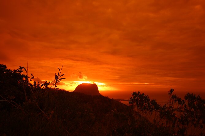 Ebony Forest Reserve Chamarel: Sublime Sundowner - Walking the 300 m raised ebony walkway