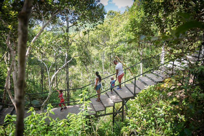 Ebony Forest Reserve Chamarel - Take a Hike Tour - Choosing Between the Jeep and the Walking Trails