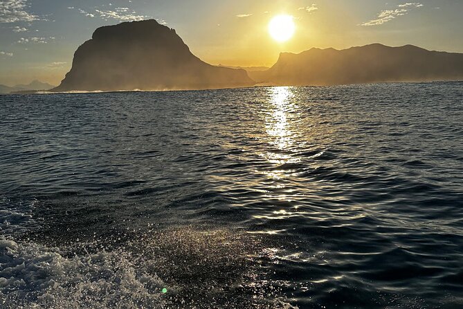 Eco-friendly Dolphin Watching Tour in Mauritius - Why the Private Price Can Make Sense