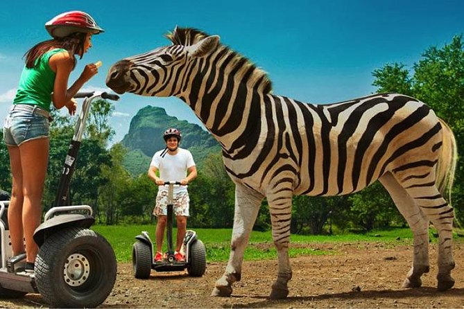 Enchanting South of Mauritius: Full-day tour Incl CASELA Park, Lunch & Transfer - Who should book this tour?