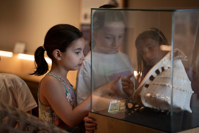 Entrance Ticket to World of Seashells museum - The Science of Shells: Form, Function, and Survival