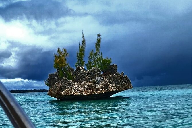 Exciting Dolphin encounters in the Maurtius's lagoon - Key points before you book