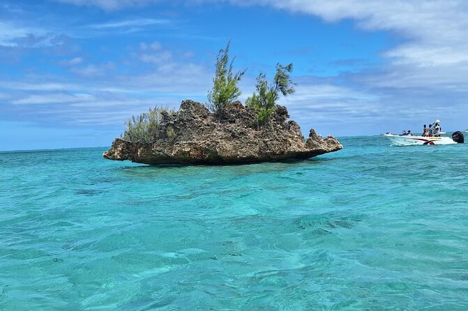 Exciting Dolphin encounters in the Maurtius's lagoon - Snorkeling after the dolphins