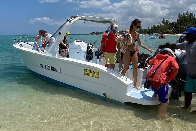 Exciting Dolphin encounters in the Maurtius's lagoon - The real issue: dolphins and boat traffic