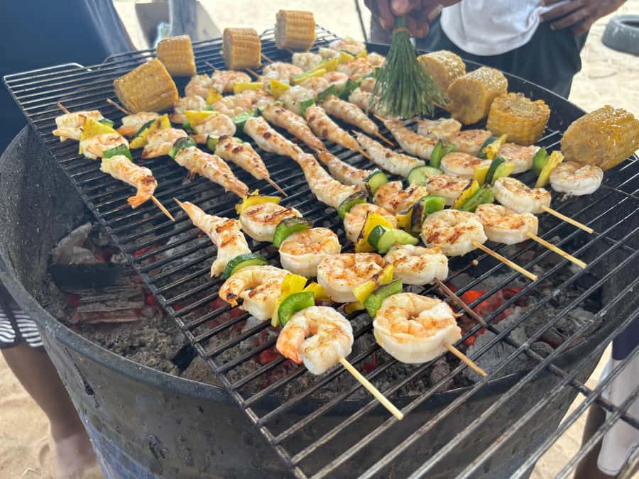 Exclusive:full-day/Dolphins watch& swimming Crystal Rock+Bbq - Watching wild dolphins with a guide in the water