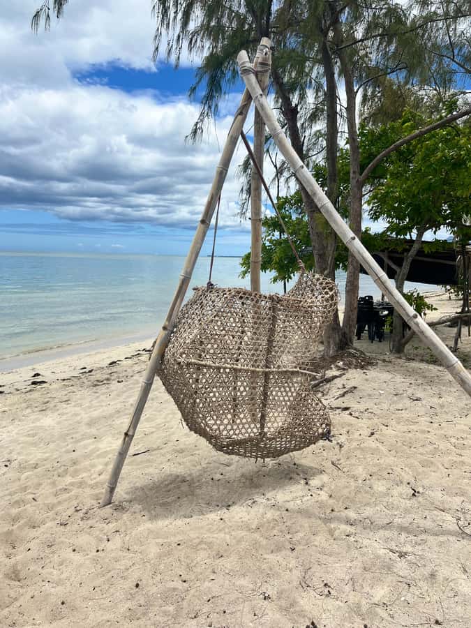 Exclusive:full-day/Dolphins watch& swimming Crystal Rock+Bbq - Seeing Le Morne from the boat