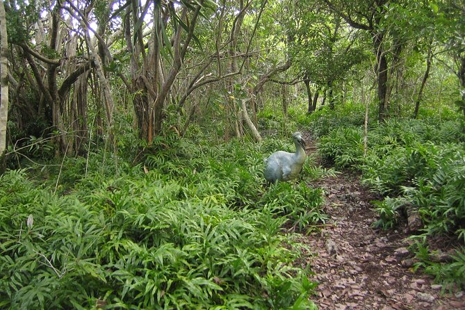 Exotic East of Mauritius: Full-day incl Ile aux Aigrette & Blue-Bay Marine Park - Lunch: useful fuel, but confirm the details