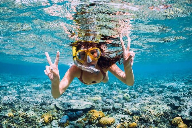 Exotic East of Mauritius: Full-day incl Ile aux Aigrette & Blue-Bay Marine Park - Mahebourg Waterfront and the Bataille de la Passe