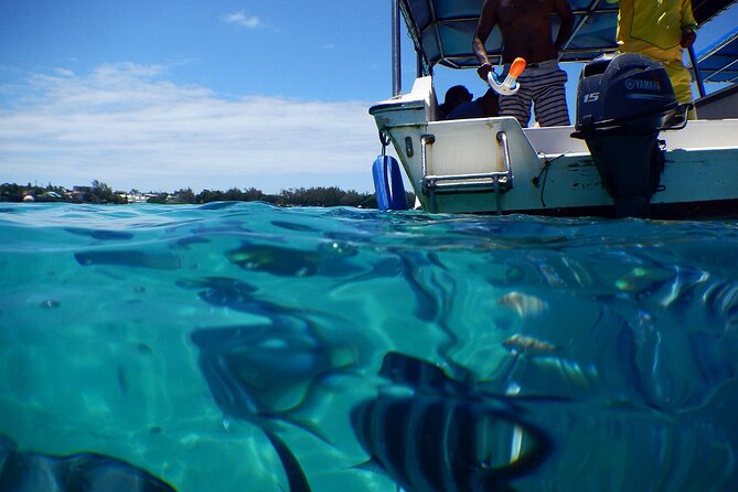 Exotic East of Mauritius: Full-day incl Ile aux Aigrette & Blue-Bay Marine Park - Ile aux Aigrettes and Mauritius’ rare wildlife