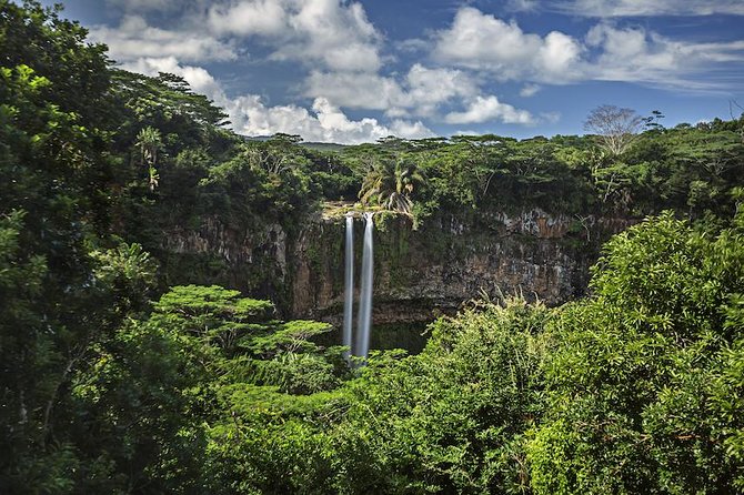 Exotic South: Journey into the Nature (Full-Day Tour incl Lunch & Ebony Forest) - One full day from Trou aux Cerfs to the southwest coast