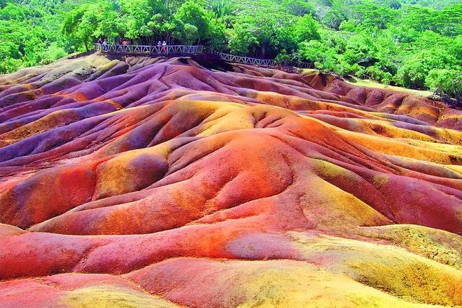 Exotic South: Journey into the Nature (Full-Day Tour incl Lunch & Ebony Forest) - Ebony Forest is the experience’s best reason to book