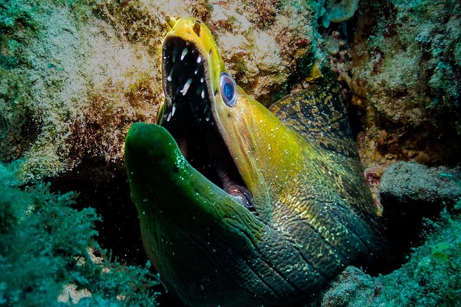 Exploration dives for experienced divers - The team atmosphere and level of support