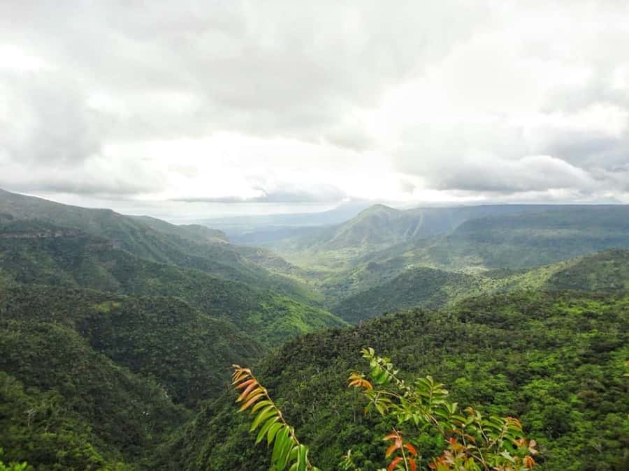 Explore the Southwest with Local Lunch & Rum Tasting - Chamarel Distillery adds taste and local character