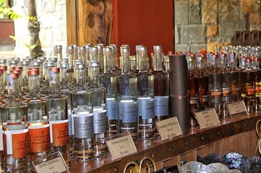 Explore the Southwest with Local Lunch & Rum Tasting - Black River Gorges and the ride through Plaine des Champagnes