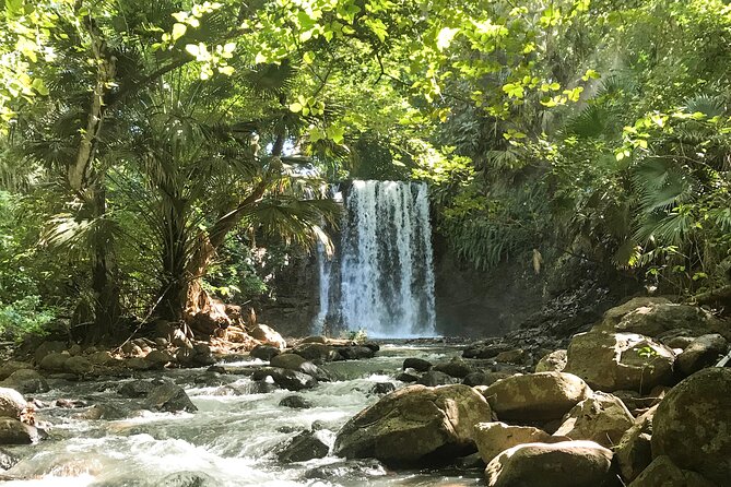 Explore The Wild South - Difficulty, weather, and who should book