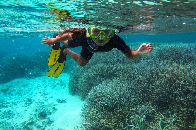Exploring the Magnificent East of Mauritius: Full-day incl Blue Bay Marine Park - Key points at a glance
