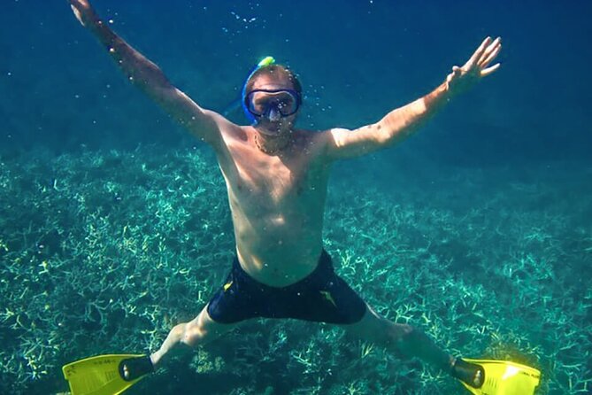 Exploring the Magnificent East of Mauritius: Full-day incl Blue Bay Marine Park - Bazar Street is the most local stop