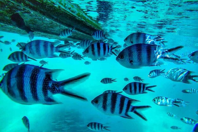 Exploring the Magnificent East of Mauritius: Full-day incl Blue Bay Marine Park - Lunch gives the day a useful pause