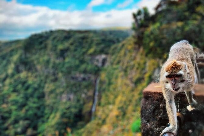 Fascinating Nature Tour Incl Ebony Forest, 7 Coloured Earth,Lunch - Chamarel lunch, village roads, and a coastal view