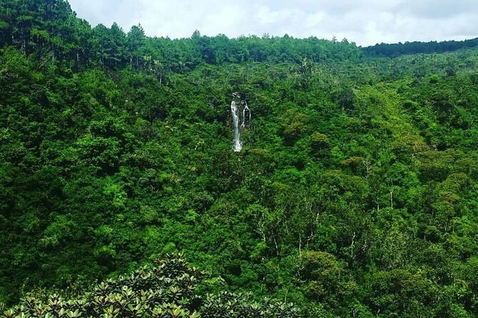 Fascinating Nature Tour Incl Ebony Forest, 7 Coloured Earth,Lunch - Grand Bassin, Mauritius’s sacred Hindu lake